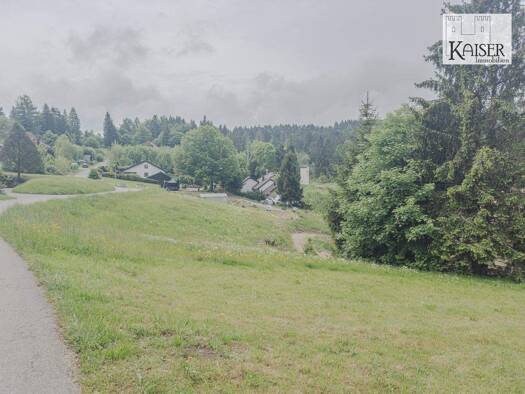Grundstück zum Kauf 77.000 € 900 m² Grundstück Wehrhalden Herrischried 79737