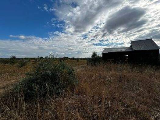 Bauernhaus zum Kauf provisionsfrei 33.000 € 4 Zimmer 120 m² 3.000 m² Grundstück Bollullos par del Condado 21710