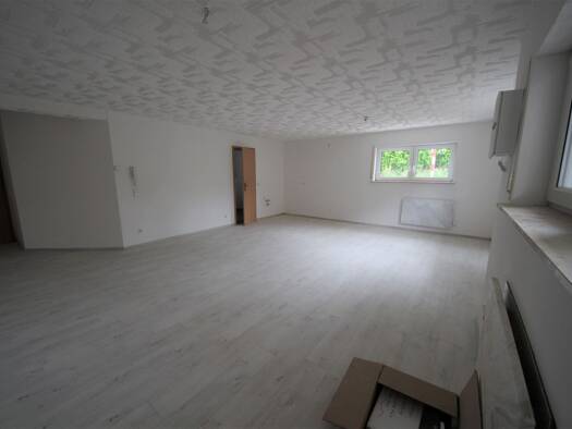 Wohnung zur Miete 400 € 1 Zimmer 42 m² frei ab 01.09.2026 Großeicholzheim Seckach 74743