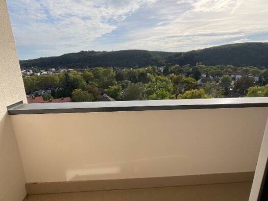 Wohnung zur Miete 790 € 3 Zimmer 74 m² 11. Geschoss frei ab 16.12.2026 Grüner Weg 43 Friesdorf Bonn 53175