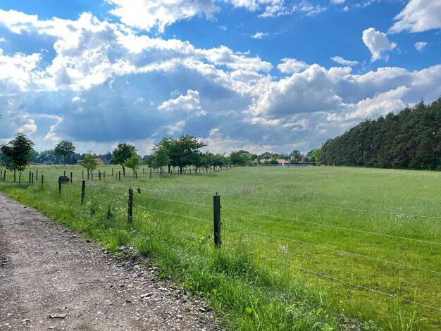 Land-/Forstwirtschaft zum Kauf 132.000 € 34.008 m² Grundstück Eilte Schwarmstedt 29693