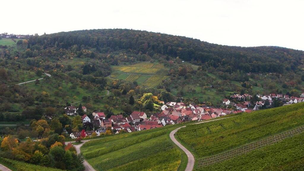 Mehrfamilienhaus zum Kauf 389.000 € 5,5 Zimmer 105 m² 439 m² Grundstück Strümpfelbach Weinstadt 71384