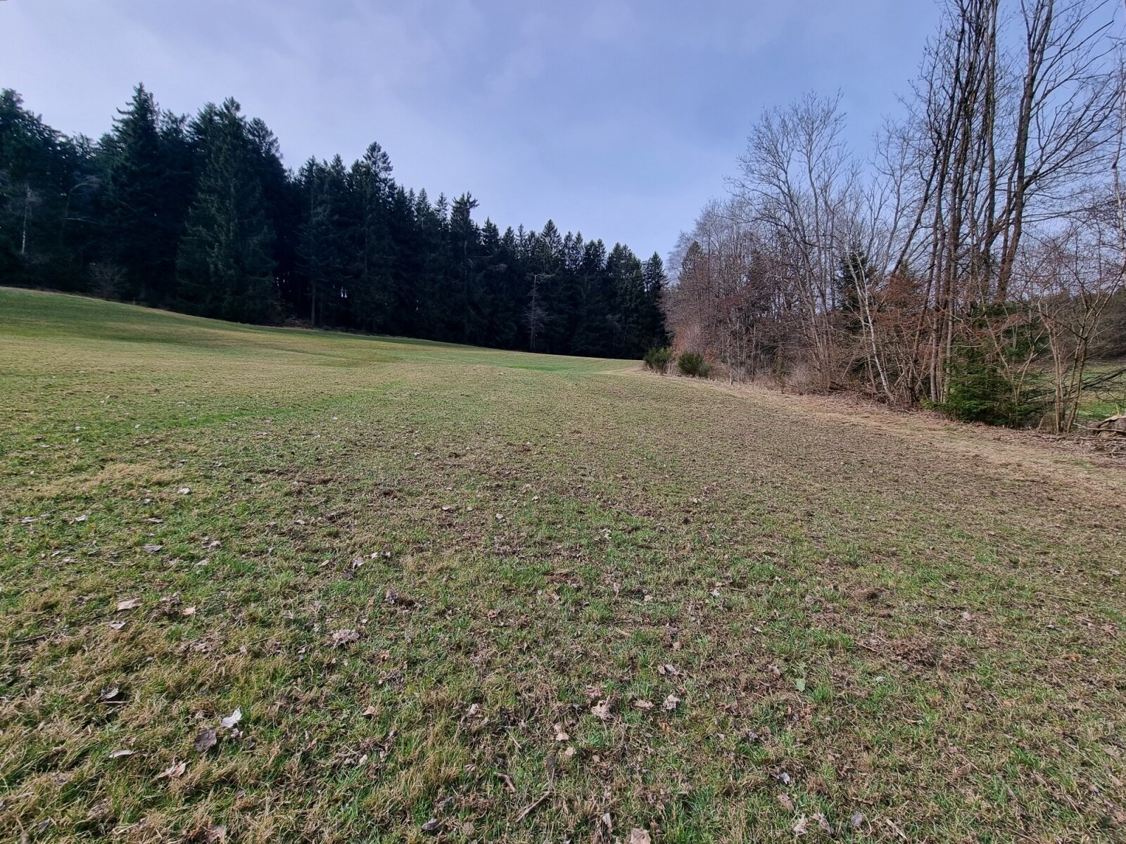 Land-/Forstwirtschaft zum Kauf 47.415 € 9.483 m²<br/>Grundstück Gossenreith Hirschbach im Mühlkreis 4242