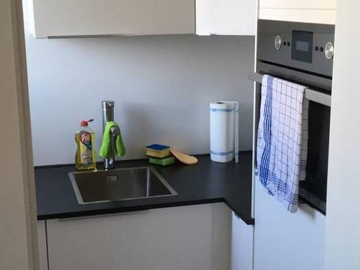 Wohnung zur Miete auf Zeit 1.250 € 1 Zimmer 30 m² frei ab 01.02.2027 Laim München 80686