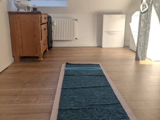 Studio zur Miete 390 € 1 Zimmer 24 m² 4. Geschoss frei ab sofort Prinzenweg 10 Innenstadt Innenstadt 38100