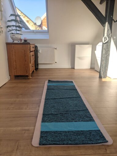 Wohnung zur Miete 755 € 1 Zimmer 24 m² 4. Geschoss frei ab sofort Prinzenweg 10 Hohetor Braunschweig 38100