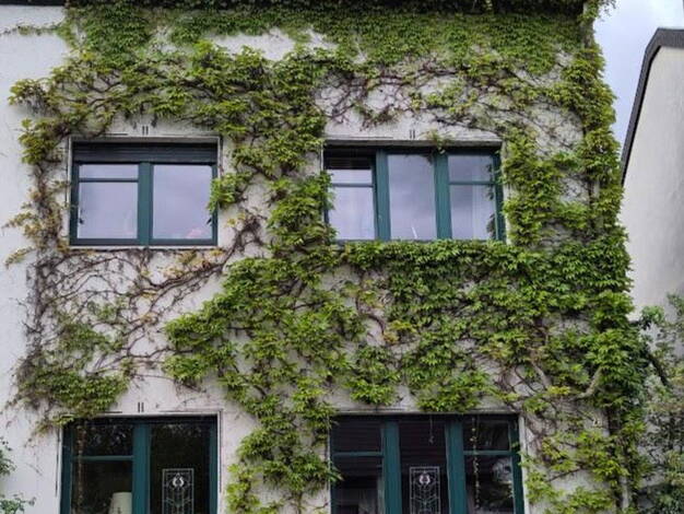 Einfamilienhaus zum Kauf provisionsfrei 590.000 € 7 Zimmer 160 m² 200 m² Grundstück Geislar Bonn 53225