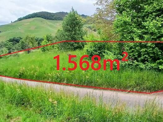 Grundstück zum Kauf 10.000 € 1.568 m² Grundstück Bühl , Baden 77815