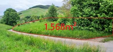 Grundstück zum Kauf 10.000 € 1.568 m² Grundstück Altschweier Bühl , Baden 77815