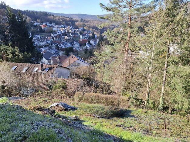 Grundstück zum Kauf provisionsfrei 198.000 € 611 m² Grundstück Hässelackerstraße 7 Altenbach Schriesheim 69198