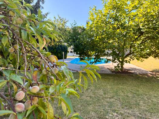 Bungalow zum Kauf 699.000 € 7 Zimmer 333 m² 1.936 m² Grundstück Rüdersdorf Rüdersdorf bei Berlin 15562