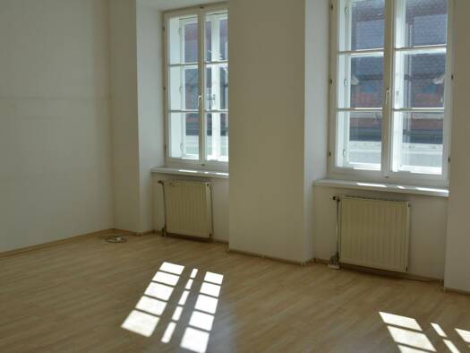 Wohnung zur Miete 430 € 1,5 Zimmer 40,9 m² Grünmarkt 15 / 4 Steyr 4400