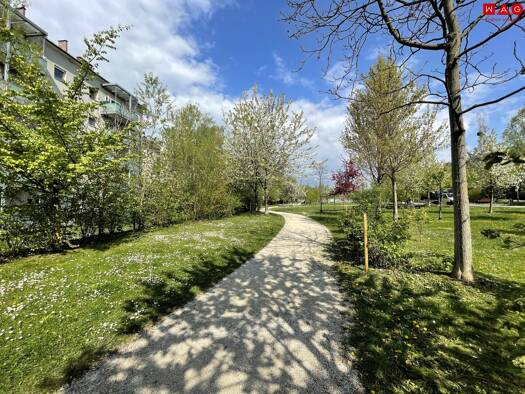 Wohnung zum Kauf - Erstbezug 355.440 € 2 Zimmer 54,3 m² frei ab sofort Mörikeweg Waldegg Linz 4020