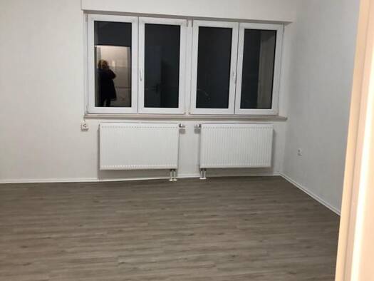 Wohnung zur Miete 480 € 2 Zimmer 40 m² EG Gostenhof Nürnberg 90443