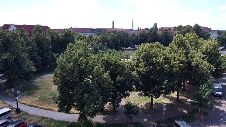Wohnung zur Miete 451 € 2 Zimmer 64,4 m² 2. Geschoss Annastraße 33 Schellheimerplatz Magdeburg 39108