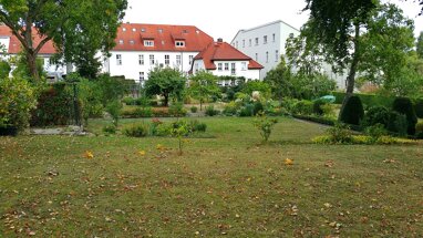 Wohnung zur Miete 412 € 2 Zimmer 58,8 m² 1. Geschoss frei ab 01.10.2024 Tiergartenstr. 24 Neustrelitz Neustrelitz 17235