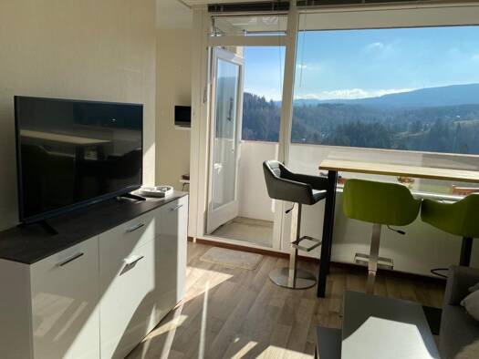 Wohnung zur Miete 295 € 1,5 Zimmer 31 m² 8. Geschoss Altenau Clausthal-Zellerfeld 38707