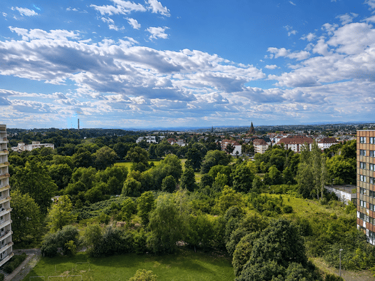 Wohnung zur Miete 180 € 1 Zimmer 35 m² 1. Geschoss frei ab sofort Moseler Straße 12 Pölbitz Zwickau 08058