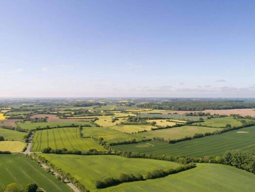 Villa zum Kauf provisionsfrei 1.300.000 € 600 m² 7.391 m² Grundstück Hauptstr. 24, 24a Rüde Mittelangeln 24986