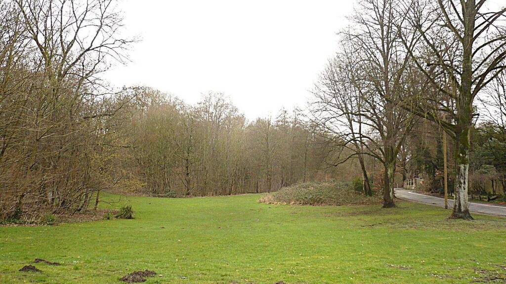 Wohnung zum Kauf 220.000 € 3 Zimmer 87,5 m² Geschoss 2/3 frei ab 01.04.2026 Hallering 36 Bergerhausen Essen 45136