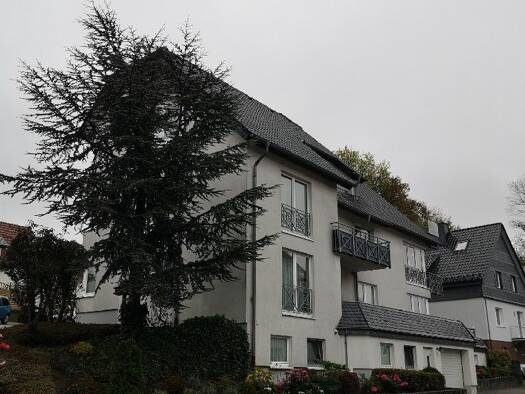 Wohnung zur Miete 400 € 2 Zimmer 60 m² frei ab 01.01.2027 Brilon Brilon 59929