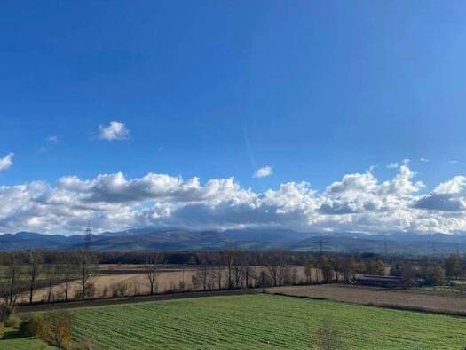 Terrassenwohnung zur Miete 1.400 € 3 Zimmer 99 m² Geschoss 5/6 frei ab 01.04.2026 Tiengen Freiburg im Breisgau 79112