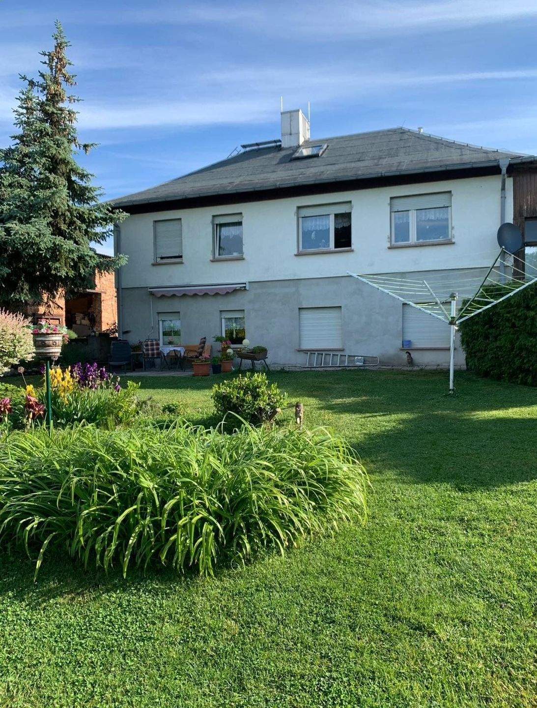 Immobilie in Wolmirsleben - Einfamilienhaus mit großem Grundstück,viel Nebengelass und Blick bis zur Bode - Bild 1