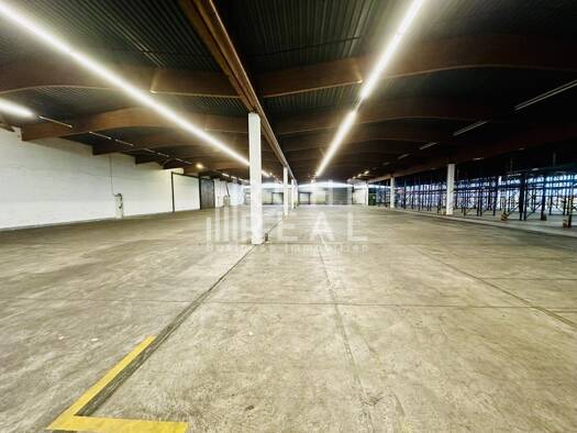 Lagerhalle zur Miete provisionsfrei 5.268 m² Lagerfläche teilbar ab 5.268 m² Haan Haan 42781