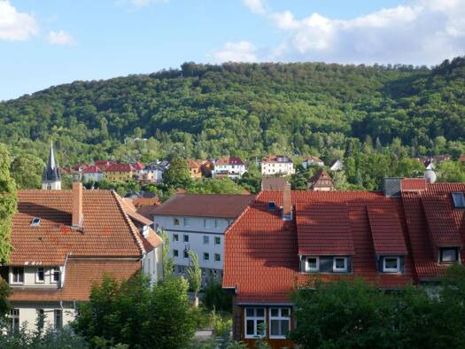Wohnung zur Miete 218 € 1,5 Zimmer 34 m² Geschoss EG/2 frei ab 01.09.2026 Sondershausen 99706