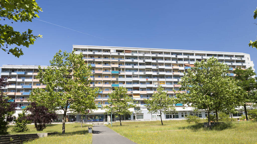Wohnung zur Miete 347 € 3 Zimmer 53,4 m² 1. Geschoss Dostojewskistraße 9 Sachsendorf Cottbus 03050