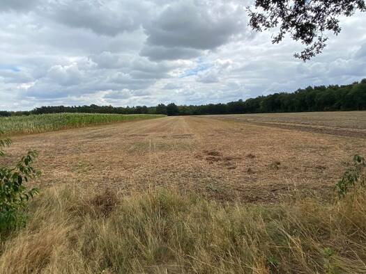 Land-/Forstwirtschaft zum Kauf 145.000 € 12.558 m² Grundstück Recke Recke 49509