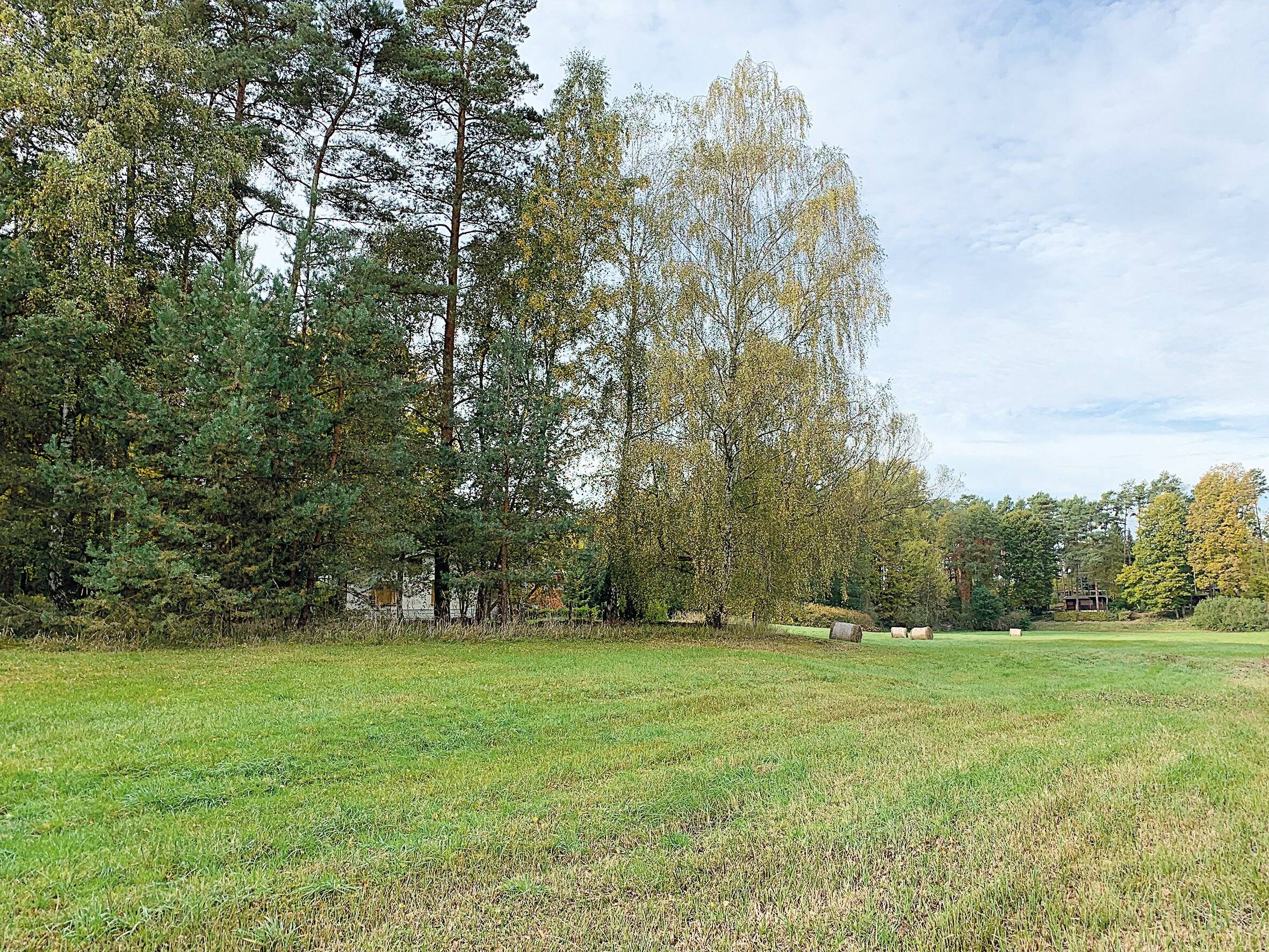 Grundstück zur Versteigerung 3.900 € 942 m²<br/>Grundstück Am Campingplatz Pinnow Schenkendöbern 03172