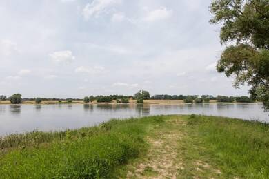 Restaurant zum Kauf 338.000 € 530 m² Gastrofläche 1.808 m² Grundstück Gorleben Gorleben 29475