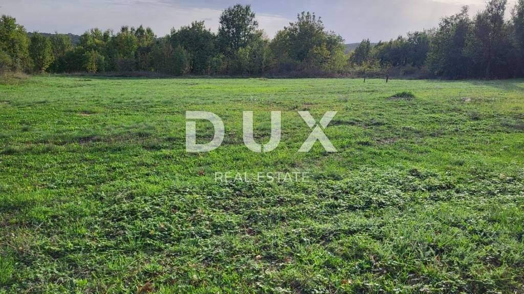 Land-/Forstwirtschaft zum Kauf 115.000 € Visnjan