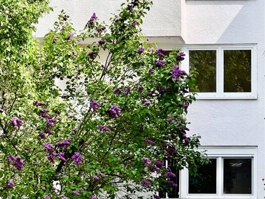 Wohnung zum Kauf provisionsfrei 265.000 € 3 Zimmer 67 m² 1. Geschoss frei ab sofort Lankwitz Berlin 12247