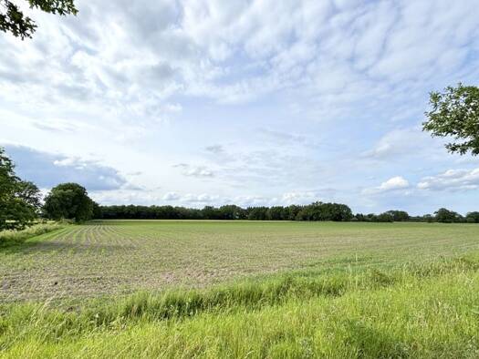 Land-/Forstwirtschaft zum Kauf 65.000 € 12.632 m² Grundstück Hollwege Westerstede 26655