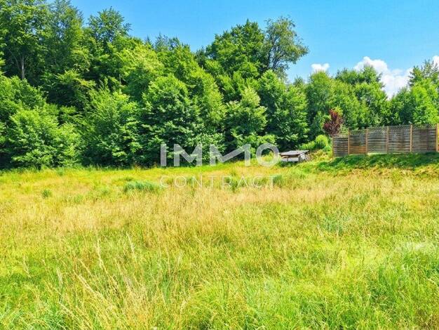 Grundstück zum Kauf 70.000 € 914 m² Grundstück Steinakirchen am Forst 3261