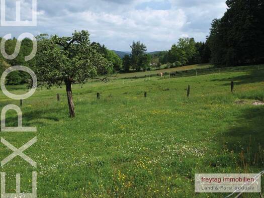 Bauernhaus zum Kauf 175.000 € 8 Zimmer 200 m² 8.895 m² Grundstück Amelith Bodenfelde 37194