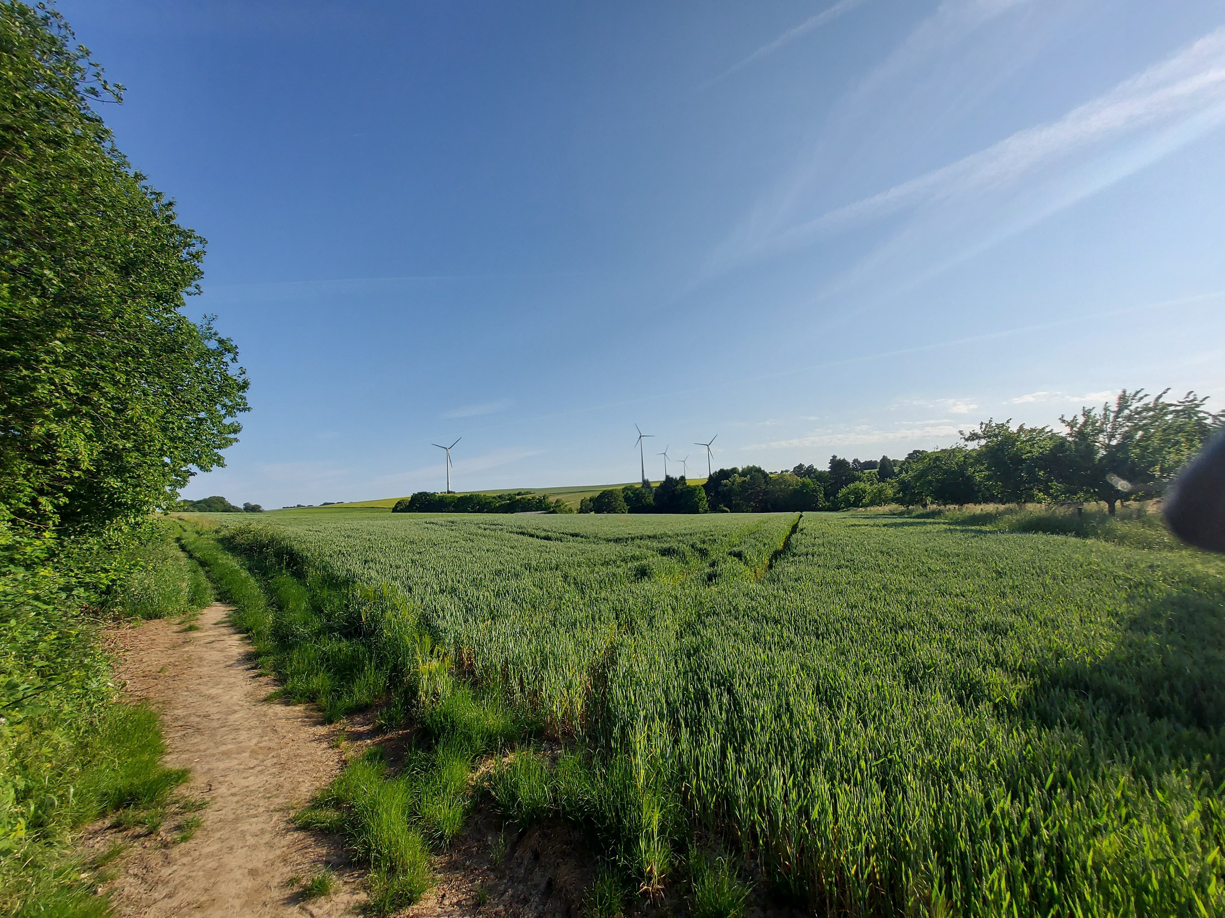 Grundstück zum Kauf 490.000 € 885 m²<br/>Grundstück Hochstadt Maintal 63477