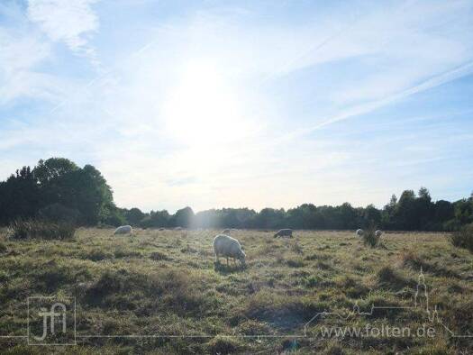 Reihenmittelhaus zur Miete 1.075 € 4 Zimmer 101,6 m² frei ab 01.12.2025 Wiesmoor 26639