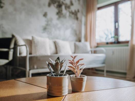 Wohnung zur Miete 500 € 1 Zimmer 30 m² Geschoss 1/3 frei ab sofort Südstadt Tübingen 72072