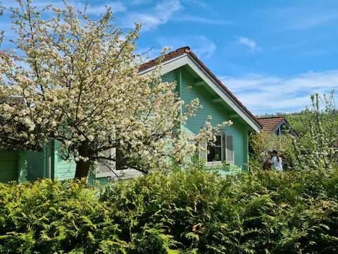 Einfamilienhaus zum Kauf provisionsfrei 154.000 € 3 Zimmer 80 m²<br/>Wohnfläche Residenz am Stausee Schotten Schotten 63679