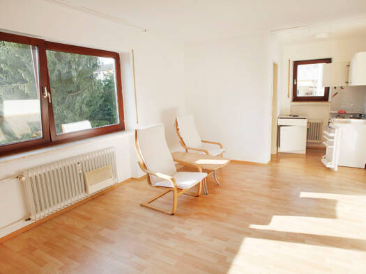 Wohnung zur Miete 420 € 1 Zimmer 23 m² Geschoss 1/2 frei ab sofort Markdorf Markdorf 88677