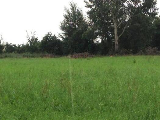 Grundstück zum Kauf 25.000 m² Grundstück Schönefeld 12529