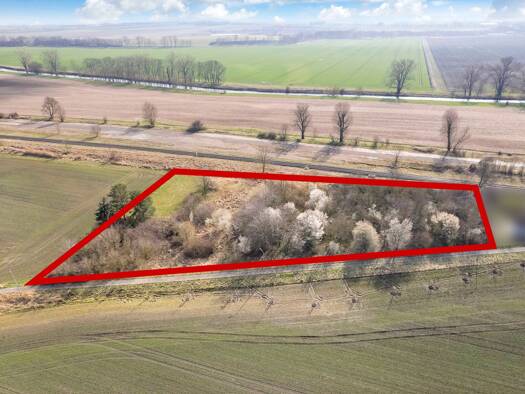 Land-/Forstwirtschaft zum Kauf 12.500 € 5.611 m² Grundstück Klein Oschersleben 39387