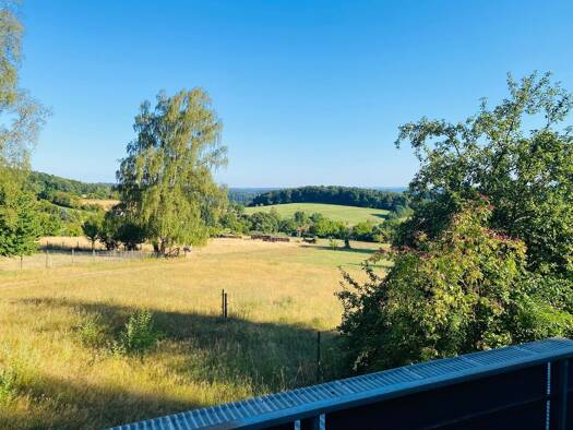 Mehrfamilienhaus zum Kauf 470.000 € 298 m² 1.573 m² Grundstück Darsberg Neckarsteinach 69239
