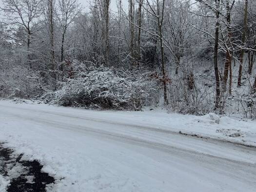 Grundstück zum Kauf provisionsfrei 30.000 € 372 m² Grundstück Karl-Kaltwasser-Straße 1 Wehlheiden Kassel 34121