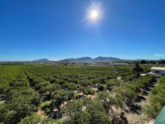 Haus zum Kauf 5.600.000 € 210 m² 421.579 m² Grundstück Murcia 30001