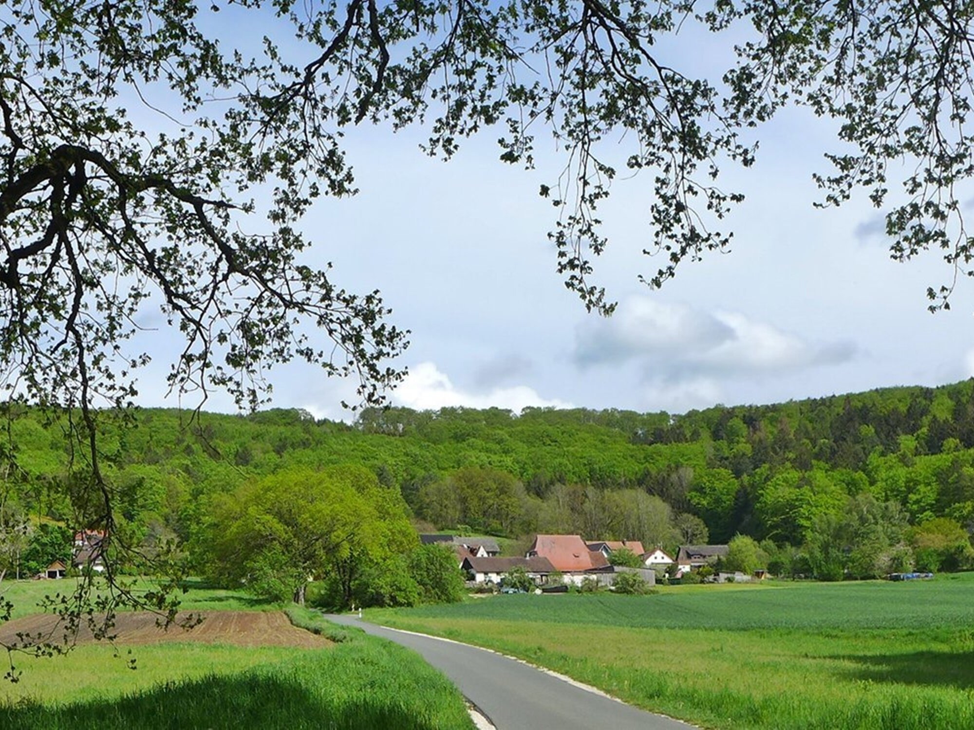 Grundstück zum Kauf 530.000 € 3.339 m²<br/>Grundstück Ernhofen Ernhofen Leinburg 91227