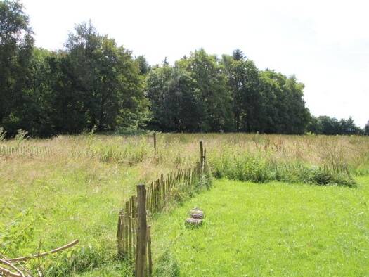 Grundstück zum Kauf 80.000 € 5.719 m² Grundstück Blersum Wittmund / Blersum 26409